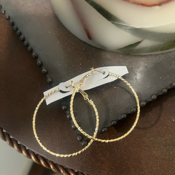 Jewelry - Elegant Hoop Earrings